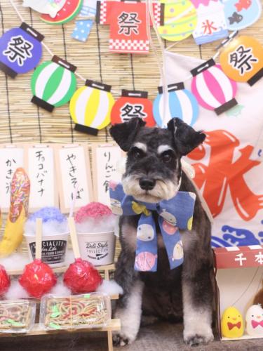 20240730ジジくん